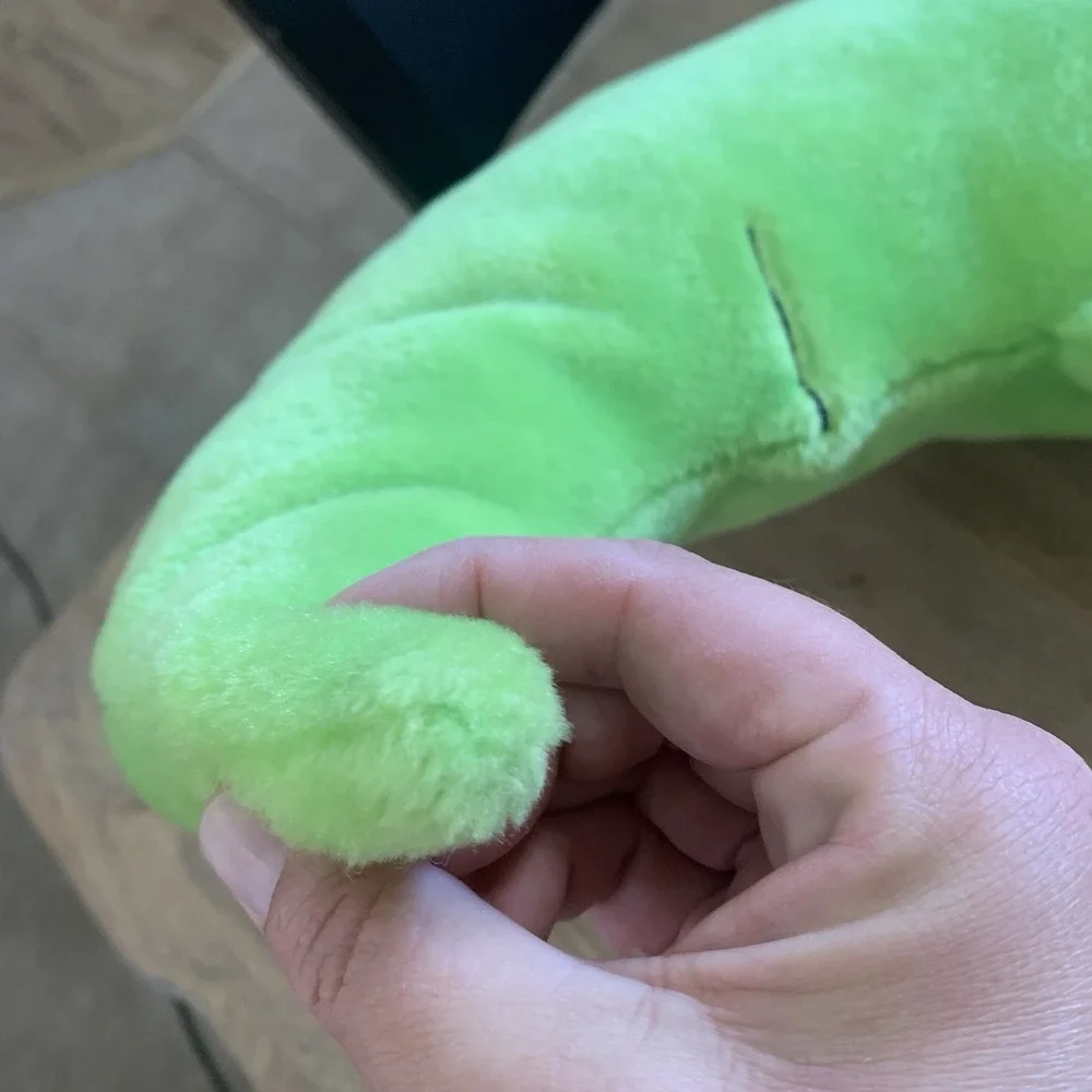 Salamander good clean